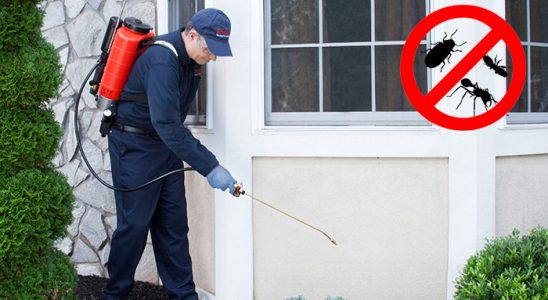 Çamlıdere Gümüşkurt İlaçlama böcek ilaçlama ve haşere kontrolü — ilaclama-tr.com